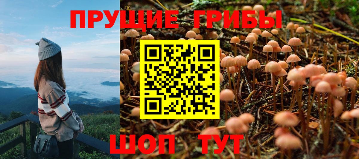 Когалым  Галлюциногенные грибы GOLDEN TEACHER  Вход с VPN 